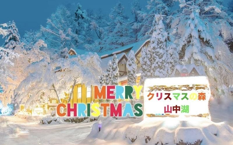 クリスマスの森